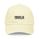 TRUST IS EXPENSIVE Pastel baseball hat